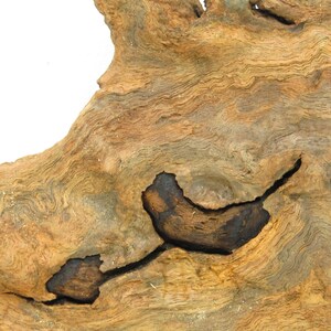 Medium freshwater driftwood/Aquarium decor/Decorative driftwood/Aquarium driftwood. 20&#39;&#39;L  7&#39;&#39;W 4&#39;&#39;D Item #0262