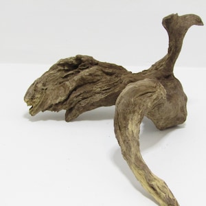 Beautifully detailed small unfinished freshwater driftwood/Decorative driftwood/Aquarium driftwood. Item#2323
