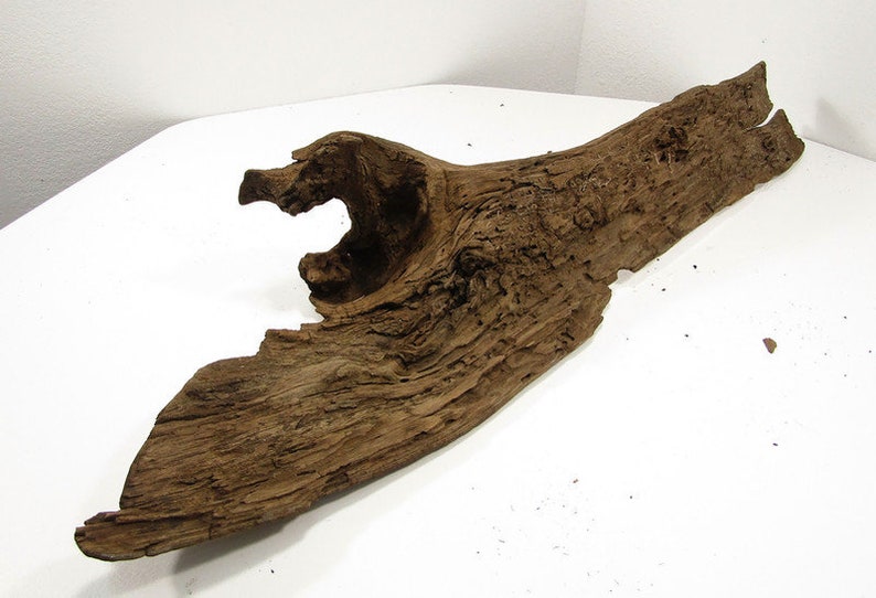 large fresh water drift wood large fresh water drift wood