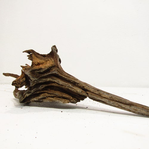 Medium/Large freshwater driftwood/Aquarium decor/Decorative driftwood. 30''L 10''W 9''H Item shops #0238