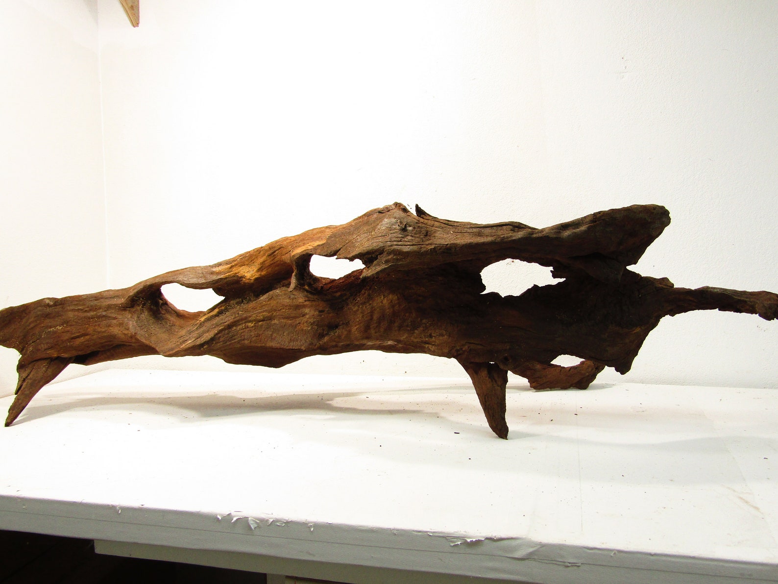 large fresh water drift wood large fresh water drift wood