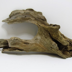 Medium/large  hollow unfinished freshwater driftwood/Aquarium driftwood/Driftwood decor Item#2339