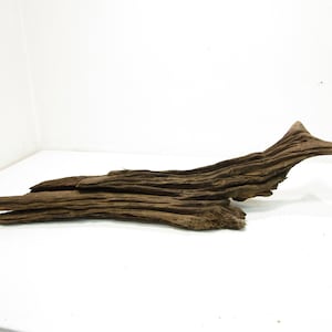 Large, Natural, Unfinished, Freshwater driftwood/Aquarium decor/Decorative driftwood. 33.5&#39;&#39;L 8.5&#39;&#39;W 8&#39;&#39;H  Item #0582