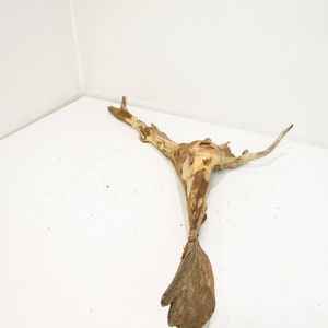 Medium freshwater driftwood/Aquarium decor/Decorative driftwood. 28&#39;&#39;L 21&#39;&#39;W 5&#39;&#39;H Item #0283