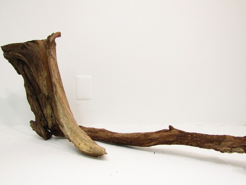 Large Natural Unfinished Freshwater Driftwood/decorative Etsy