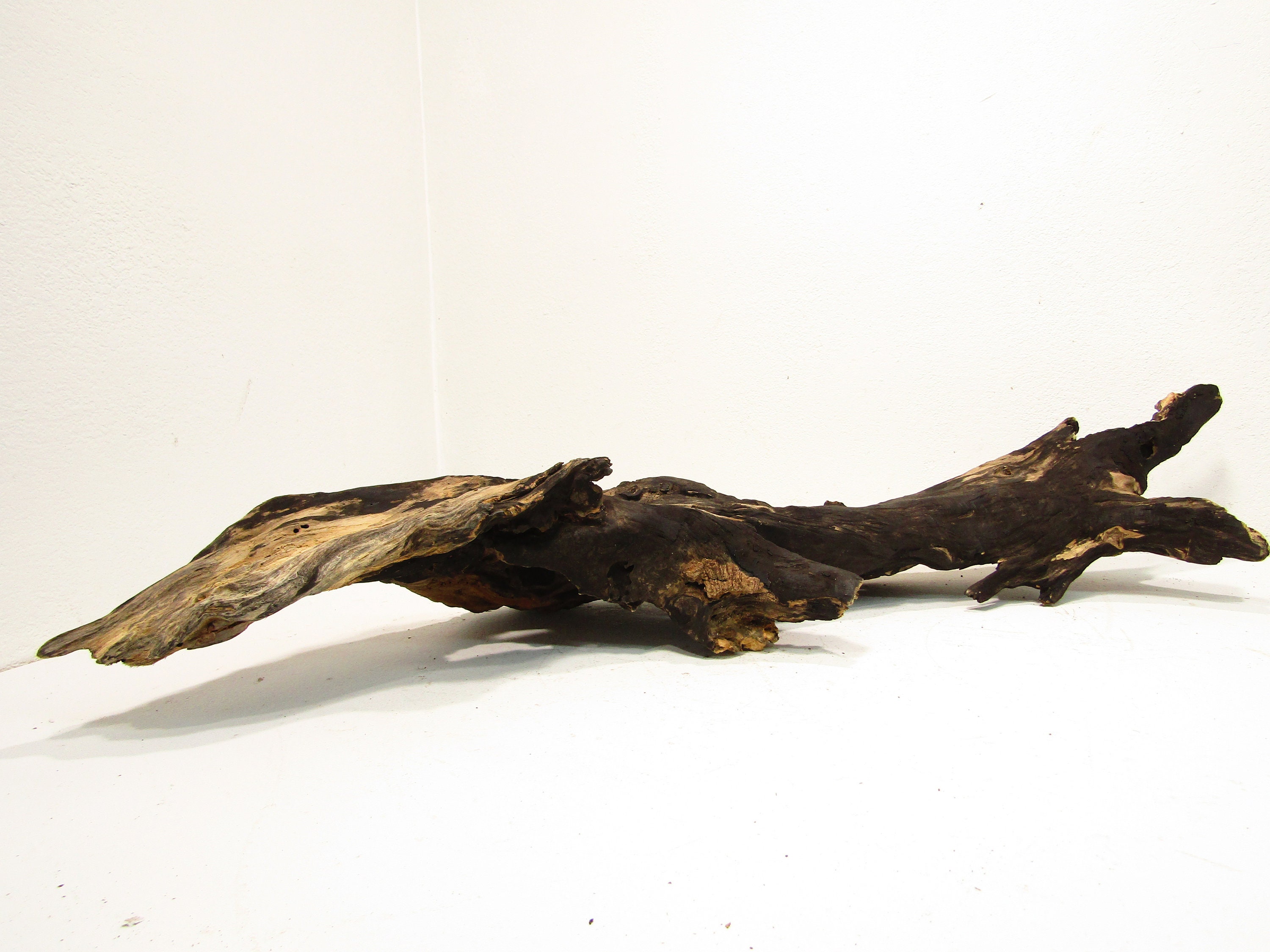 large fresh water drift wood large fresh water drift wood