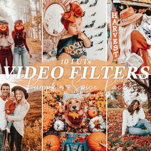 10 FALL VIDEO Filters, LUTs preset for mobile, Reels Instagram, Autumn Video Filters VN, Lut for Final Cut Premiere Pro, Video Photo Editing