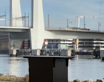 Mobile Kitchen Cart: Portable Food Vendor Station