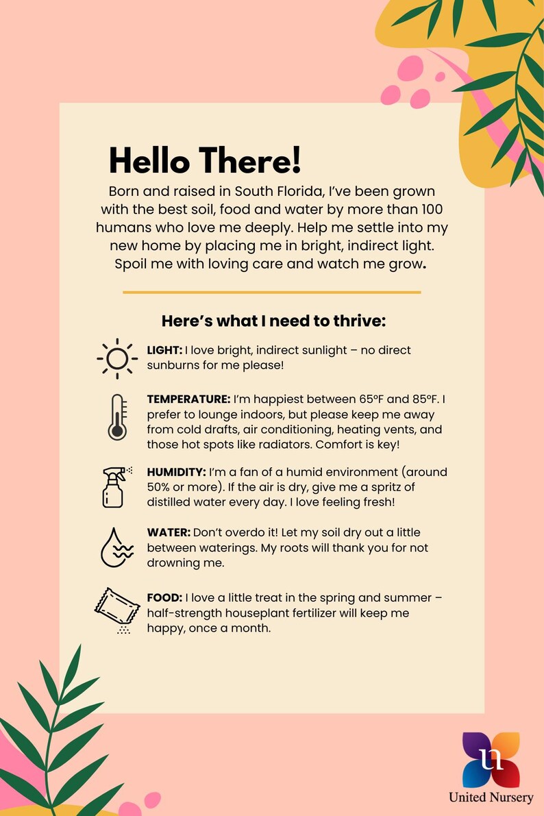 May include: A yellow and green illustration of a plant with text that reads "Hello There!" and "Here's what I need to thrive:" with icons and text describing the plant's care needs: light, temperature, humidity, water, and food. The text also includes the phrase "United Nursery".