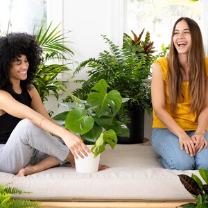 May include: Two people sitting on a white couch with a green plant in a white pot. The woman on the left is wearing a black tank top and grey pants. The woman on the right is wearing a yellow tank top and blue jeans. Both women are smiling.
