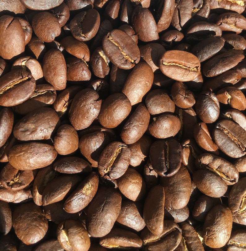 2/3 Lbs Organic, Jamaican Blue Mountain Coffee Etsy