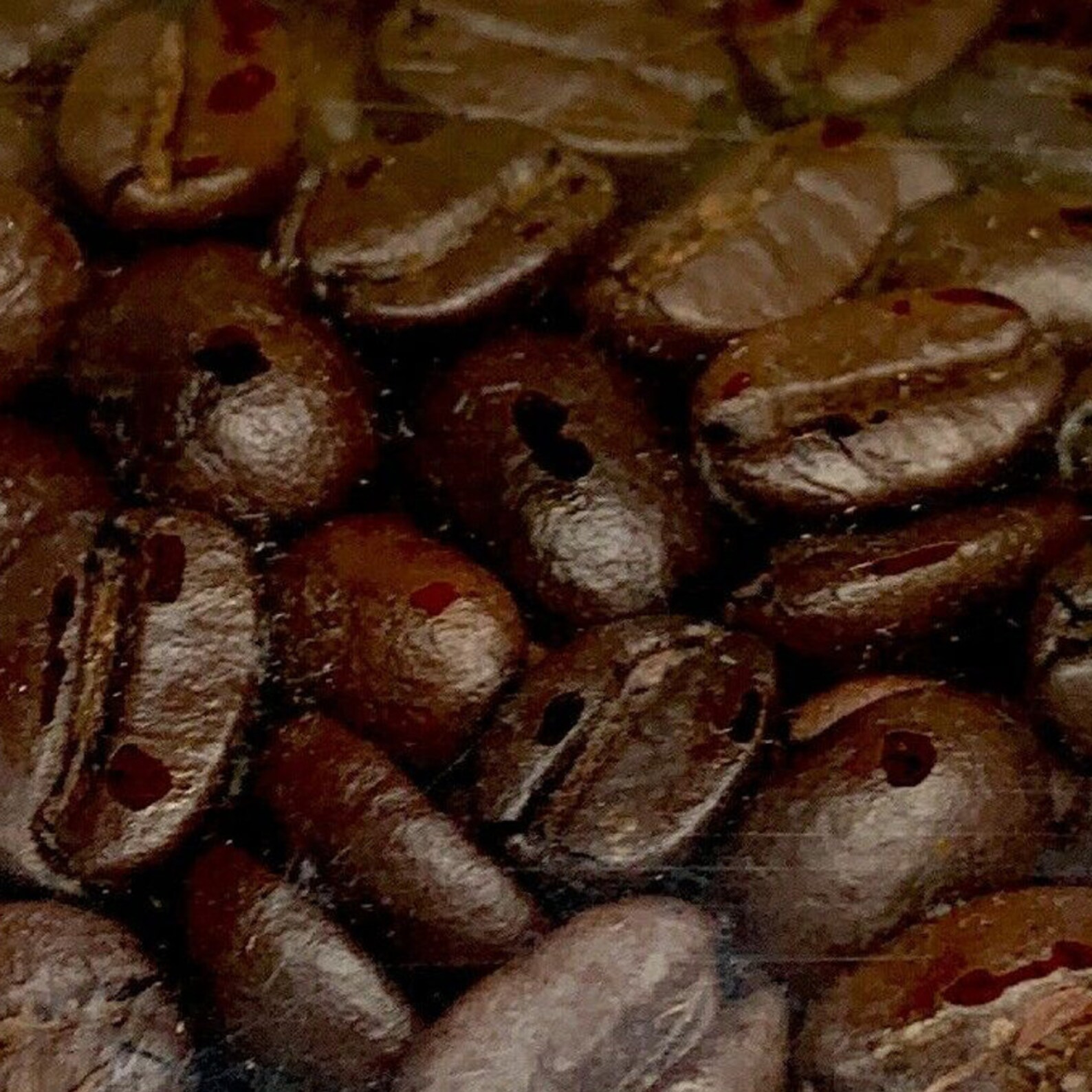 2/3 Lbs Organic, Jamaican Blue Mountain Coffee Etsy