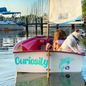 May include: A white sailboat with a red hull and the word "Curiosity" written on the side. A girl and a white dog are sitting in the boat. The boat is in the water with other boats in the background.