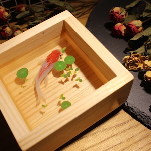 3D Resin Painting Koi Fish in Wooden Box | Acrylic Painting Gift | Hand Painted Koi Fish | Fish Decoration | Resin Art