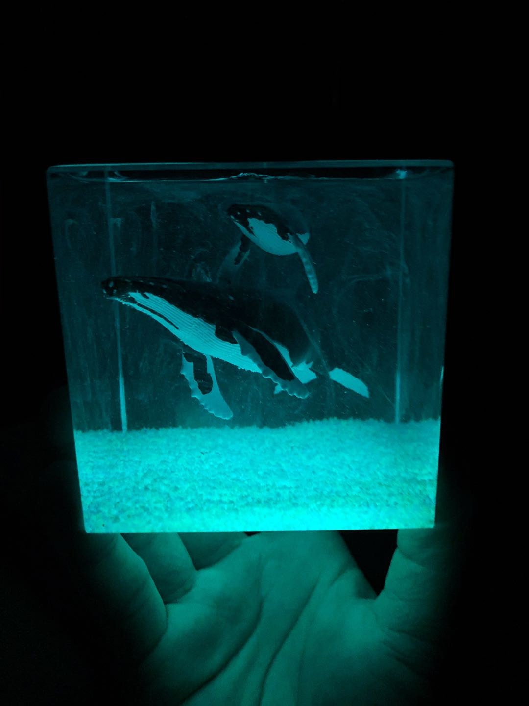 Humpback Whale Aquatic Resin Diorama Nightlight Whale | Etsy