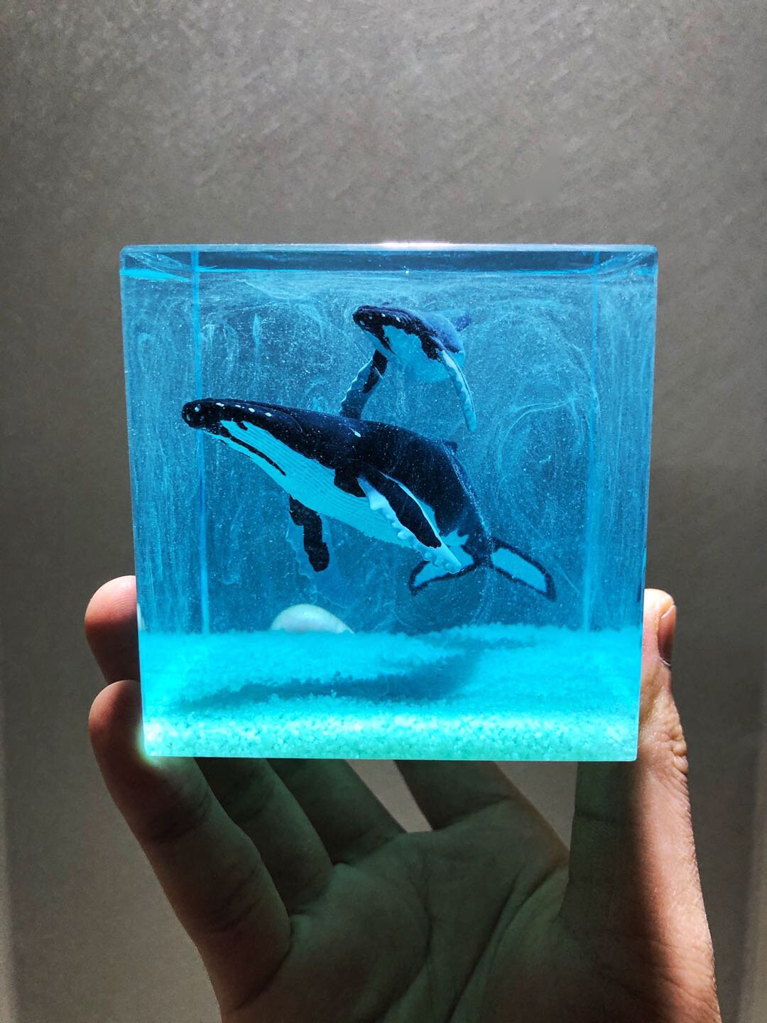 Humpback Whale Aquatic Resin Diorama Nightlight Whale | Etsy