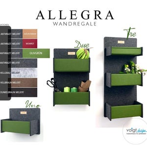 Hängeregale ALLEGRA aus FILZ - 3 Größen - 7 Farben - Wandregal Wandkorb Aufbewahrungskorb Organizer Schlüsselablage Ablagefächer