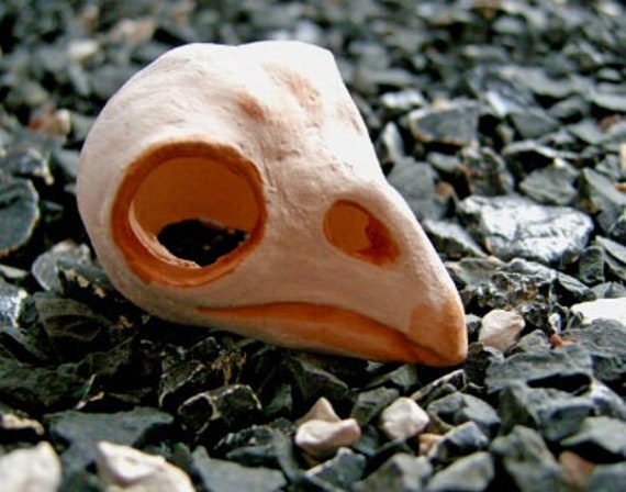 Ceramic Shrimp House. Owl Skull 