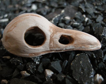Ceramic Shrimp House. Raven Crow Skull 
