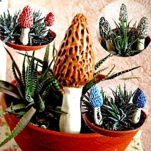 Ceramic big morel mushrooms. Garden Decorations