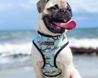 Reversible Dog Harness - Shark and Pizza - 2 in 1 - Bumblebees on reverse -  Suitable girls and boys - for all breeds - Brand: Flat Face