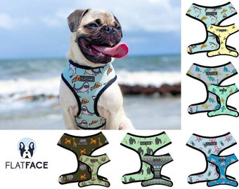 frenchie harness and leash