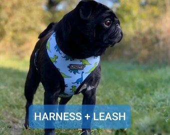 frenchie leash and harness