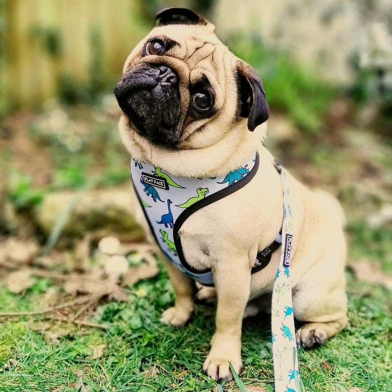 Reversible Puppy / Dog Harness Dinosaur and Robot Blue and Etsy