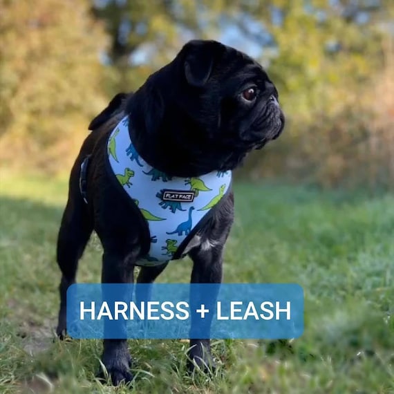 Reversible Dog Harness and Leash Set Dinosaur and Robot. suitable