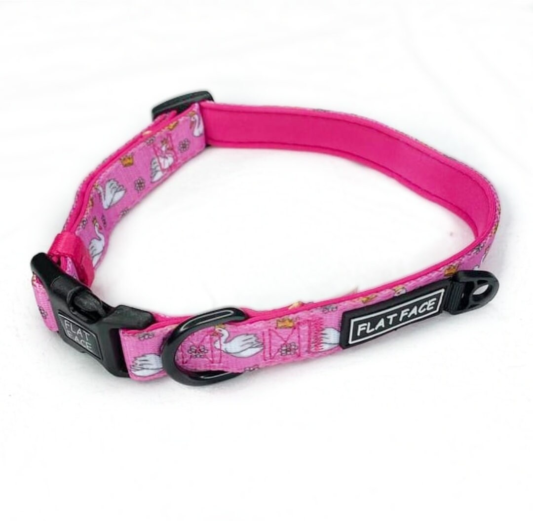 pink unc dog collar