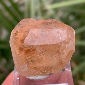 Stunning Golden Colour Transparent Topaz Crystal, Sherry Topaz from Skardu Mine, Topaz Specimen, Topaz Crystal / 17 Grams