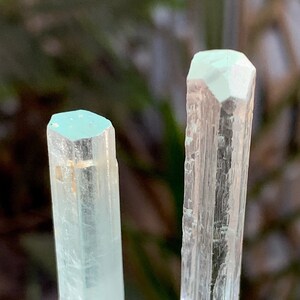 アクアマリン標本アルバイト鉱物標本上の天然ブルーアクアマリン