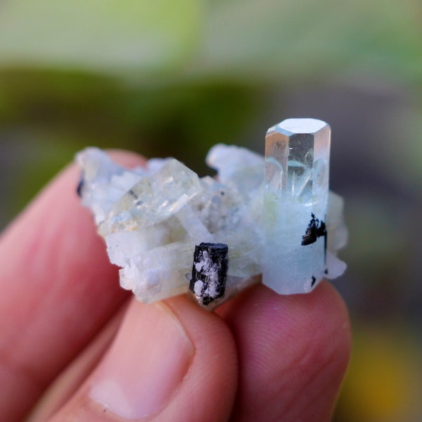 Natural Sky Blue Aquamarine Crystal Specimen on Matrix ,Aquamarine Crystal,Fine Minerals/ 09 Grams