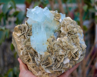 アクアマリン 261g | opts-ng.com