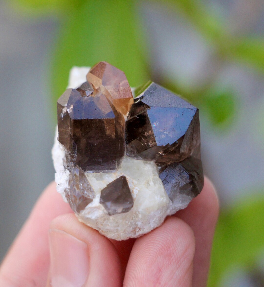 Rich Golden Colour Topaz With Quartz Specimen Topaz Crystal Etsy