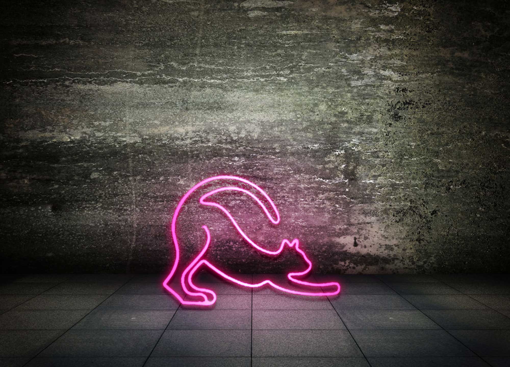 Cat Light Neon Personalized Gift LED Neon Signs Light Etsy