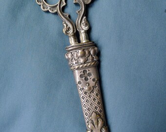 Antique Ornate Brass & Steel German Scissors in Sheath Case
