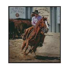 Beim Rodeo Kreuzstichmuster | Kreuzstichvorlage | PDF Nähanleitung | Digitaler Download | Cowgirl Kreuzstich