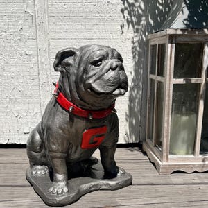 Pewter Metal Coating, Georgia Bulldogs UGA Mascot Cement Statue for Porch and Patio.