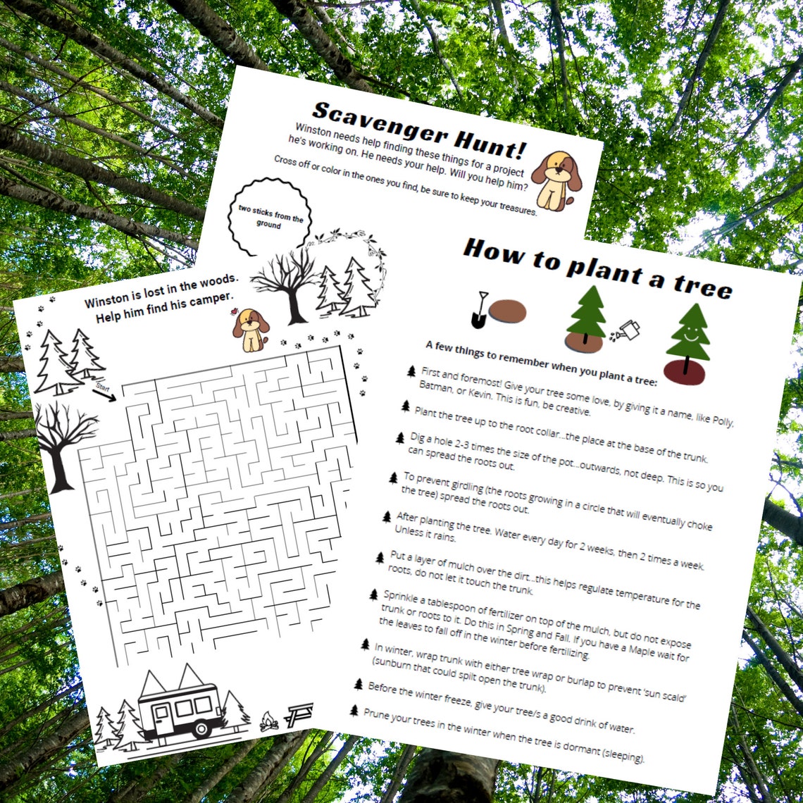 Tree Printable for Kids Tree Game Arbor Day Printable Earth | Etsy