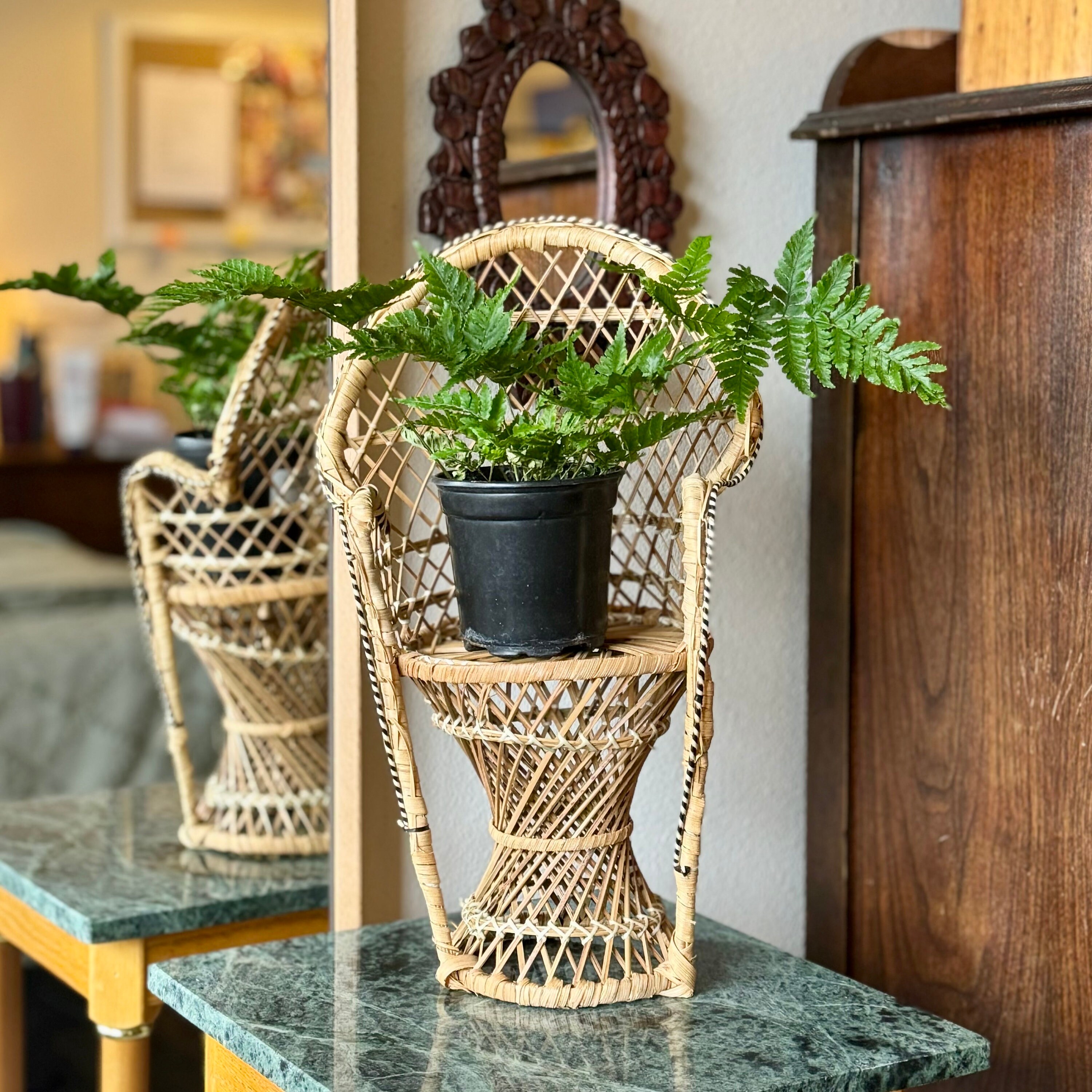 Wicker chair outlet plant stand