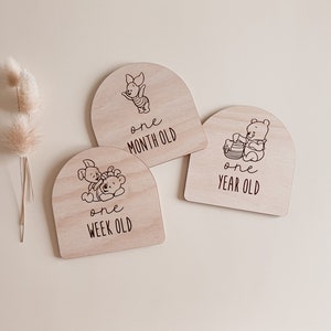 Wooden Baby Milestone Plaques. Pooh. Winnie the Pooh Inspired. Milestone Plaques. Milestone Discs. Baby Shower Gift. Baby Announcement.