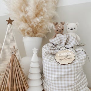 May include: A festive Christmas scene featuring a beige and white gingham gift bag with a wooden tag that reads "Tully's Special Christmas Delivery Love Santa." Two plush toys, a deer and a bear, sit atop the bag. Decorative Christmas trees and pampas grass complete the holiday display.