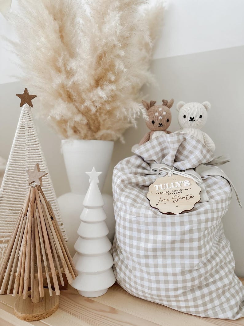 May include: A festive Christmas scene featuring a beige and white gingham gift bag with a wooden tag that reads "Tully's Special Christmas Delivery Love Santa." Two plush toys, a deer and a bear, sit atop the bag. Decorative Christmas trees and pampas grass complete the holiday display.