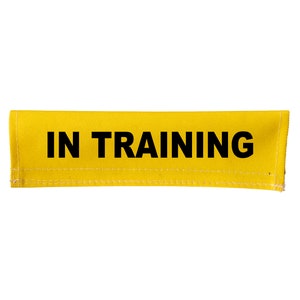 May include: Yellow fabric armband with black text that reads "IN TRAINING".
