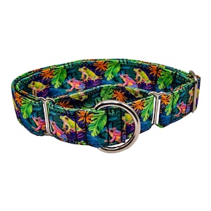 May include: A green, blue and orange dog collar with a tropical frog print. The collar is made of nylon and has a silver metal buckle.