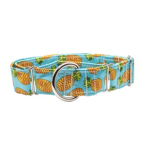 May include: A blue and yellow pineapple patterned dog collar with a silver buckle.