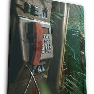 May include: A red rotary phone hangs in a weathered, gray phone booth with the word "FORSAKEN" written on it. The phone booth is surrounded by lush green foliage.