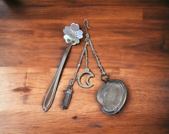 Stainless Steel Drink Infuser Steeper Set With Removeable Charm and Spoon