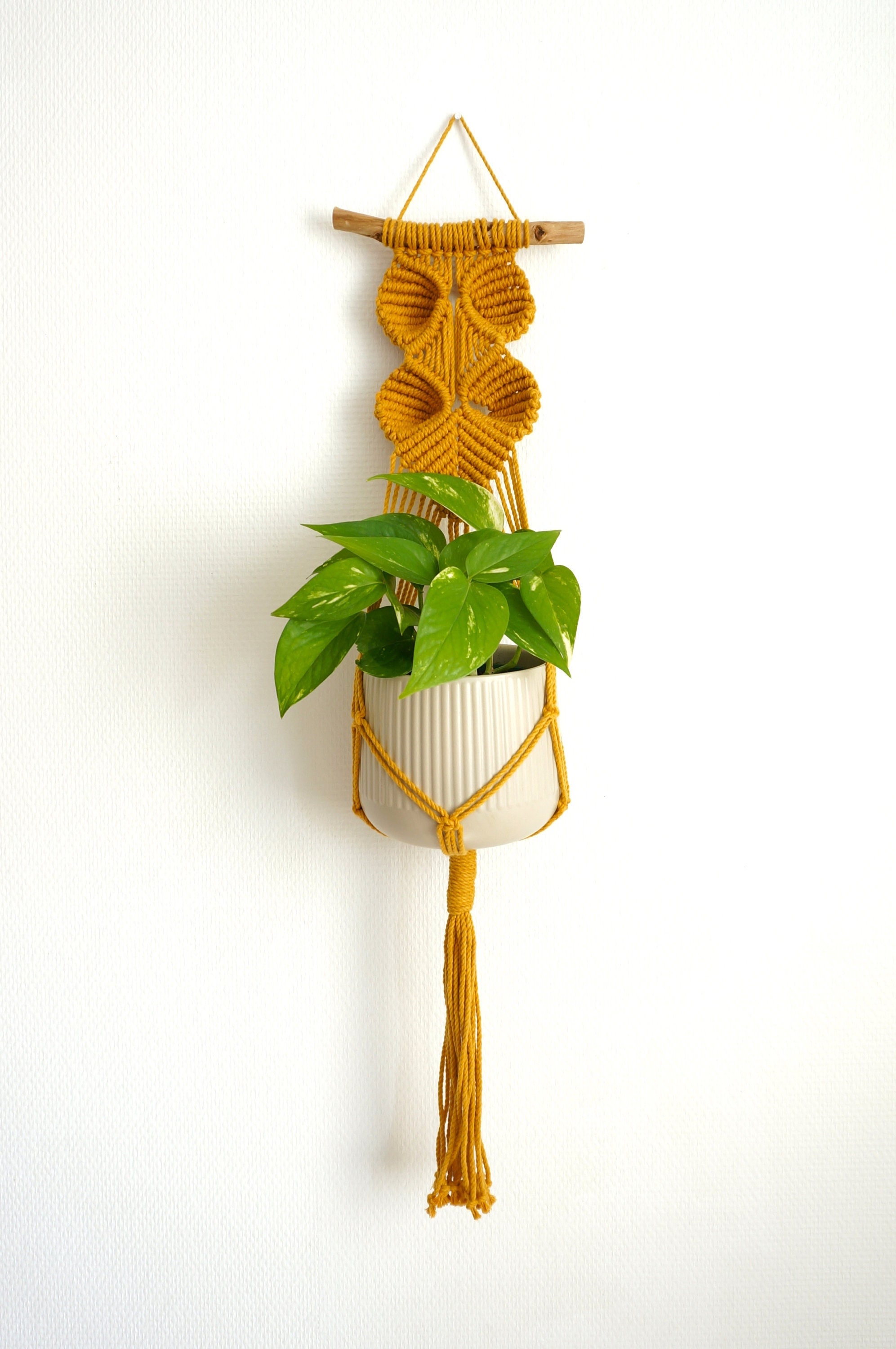 Suspension en Macramé Pour Plante, Suspension Murale Plante Colorée, Motif Feuilles, Jaune Moutarde,